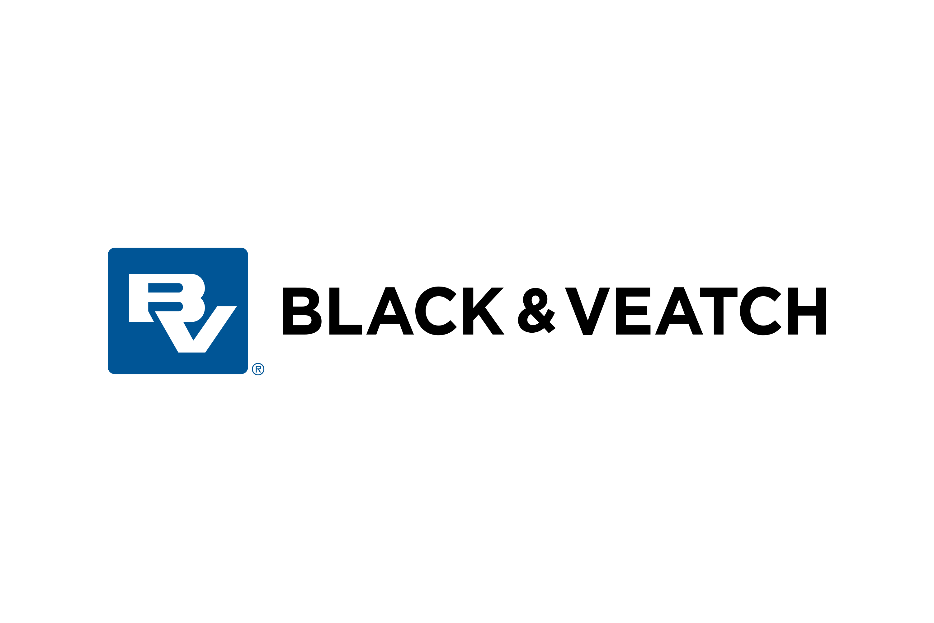 Black_&_Veatch-Logo.wine